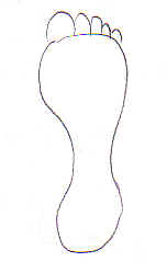 Pied valgus. Empreinte.